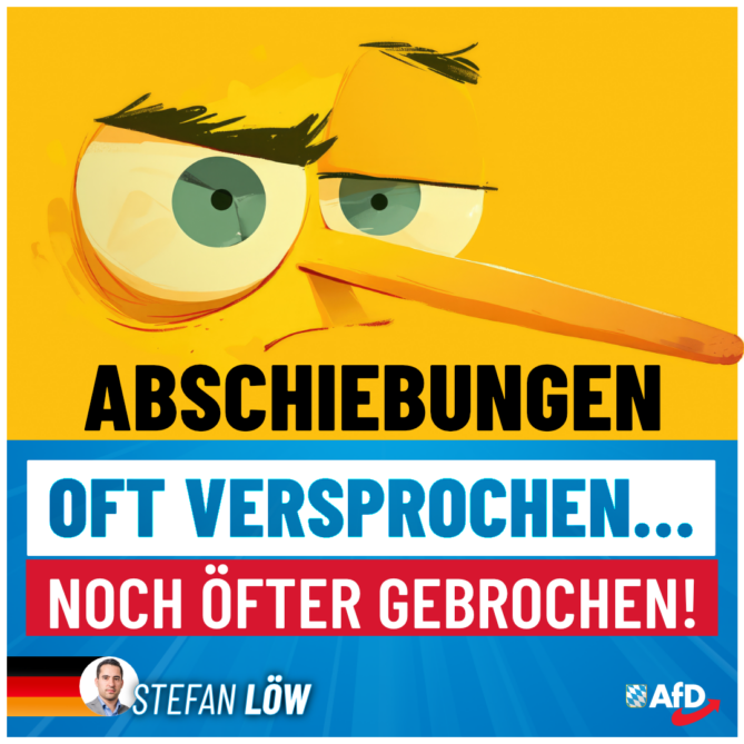 Stefan Löw AfD - Abschiebungen - Oft versprochen